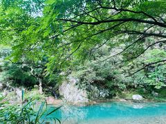 -水墨汀溪风景区