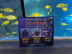 -太平洋海底世界