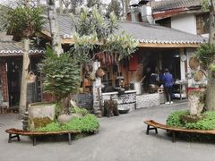 -青城甲(青城山店)