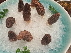 -蘑界·野生菌火锅(深业上城店)