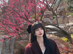 -无锡梅园公园