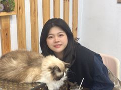 -青奢宠物·青奢猫舍