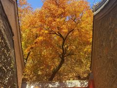 -潭柘寺景区