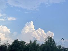 -黄海国家森林公园