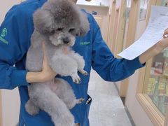 -瑞派名望24h动物医院异宠专科·猫专科·骨科·重症监护分院