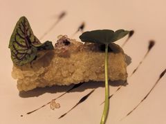 -上蔬无瑕· 创意素食·Vegetarian(华采天地店)