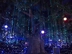 -汕头蓝水星欢乐世界