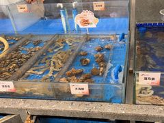 -船歌·鱼水饺青岛菜(闽江二路店)