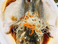 -紫光园·烤鸭·北京菜(劲松店)