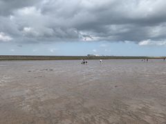 -南汇嘴观海公园