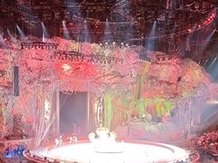 -广州长隆国际大马戏