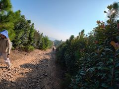 -缥缈峰景区