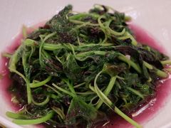 -新聚丰菜馆(太监弄店)