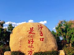 -单家老院·院子里的青岛菜(沙子口店)