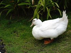 -星乐度·露营小镇
