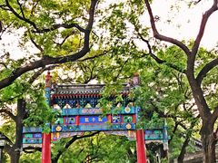 -北京国子监胡同