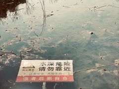 -新江湾城公园