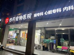 -四月宠物医院·猫专科·心脏专科·内科(转塘店)