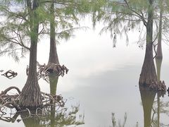 -松山湖风景区松湖烟雨