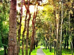 -国家植物园南园