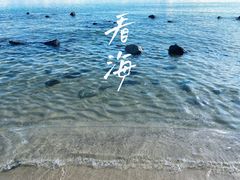 -杨梅坑