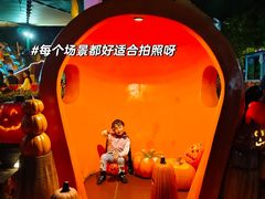 -郑州方特梦幻王国