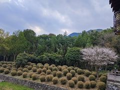 -兰亭风景区