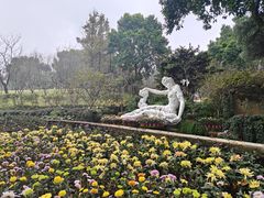 -南山植物园