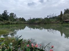 -桤木河湿地公园