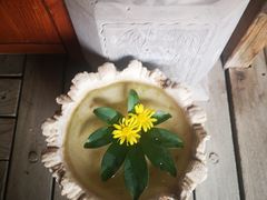 -昆明柏联SPA温泉
