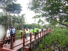 -东寨港红树林旅游区