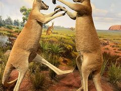 -陕西自然博物馆