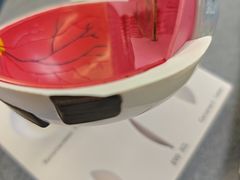 -武汉大学附属爱尔眼科医院(湖北总院)