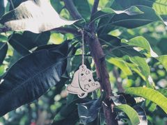 -小草莓·Little Strawberry