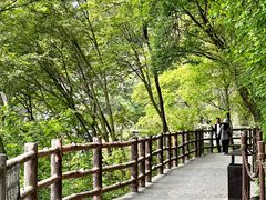 -少华山国家森林公园