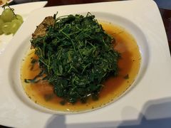 -松鹤楼(山塘街店)