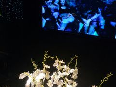 -黑桃K生日订制KTV
