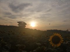 -光明小镇欢乐田园