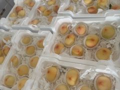 -西郊国际农产品交易中心