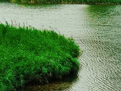 -大兴滨河森林公园