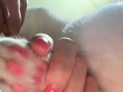 -PETKIT小佩宠物·低压洗护(国顺东路店)