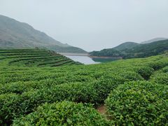 -嵛山岛