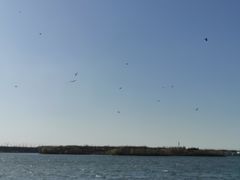 -丁香湖公园