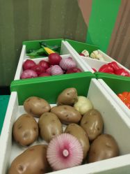 -莫莉幻想儿童乐园(深圳东湖永旺店)