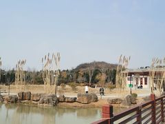 -洛阳古墓博物馆