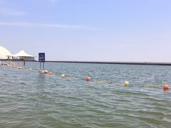 -碧海金沙