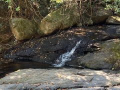 -马峦山郊野公园