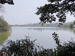 -海珠湖公园