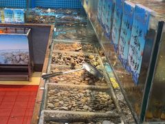 -良师门滨海人家·海鲜·家常菜(滨海城店)