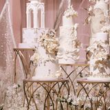 【主题:梦蝶】 缱绻成茧 化茧成蝶 你会记得好的电影